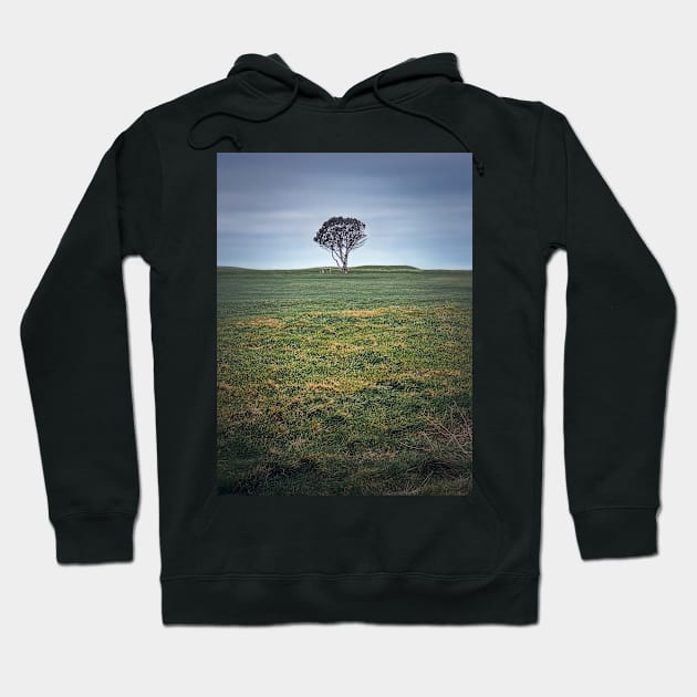 lone tree in the field Hoodie by psychoshadow